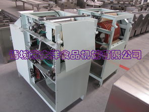 高效鲜花生去皮机与湿法黄豆脱皮设备 现代农业加工的利器